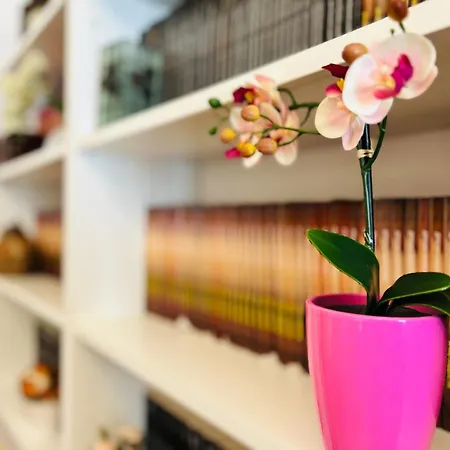 Rákóczi Boulevard 47