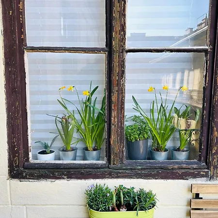 Apartamento Rákóczi Boulevard 47 Budapest