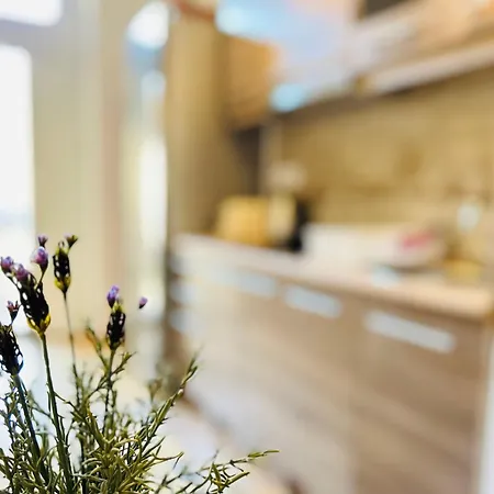 Rakoczi Boulevard 47 Apartment *