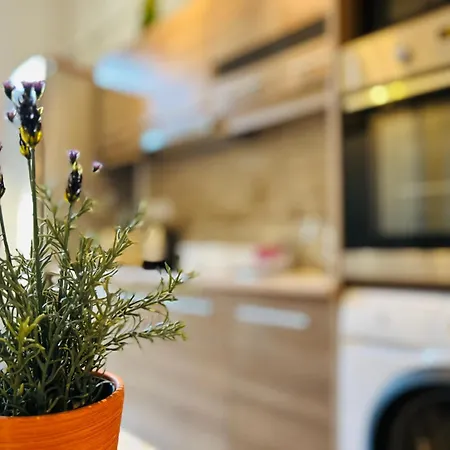 Rakoczi Boulevard 47 Appartement *