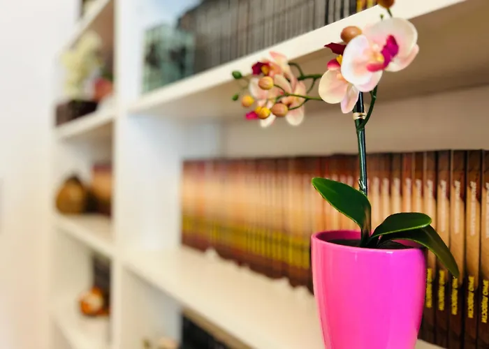 Rakoczi Boulevard 47