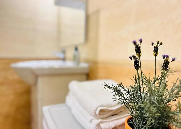 Rakoczi Boulevard 47 *