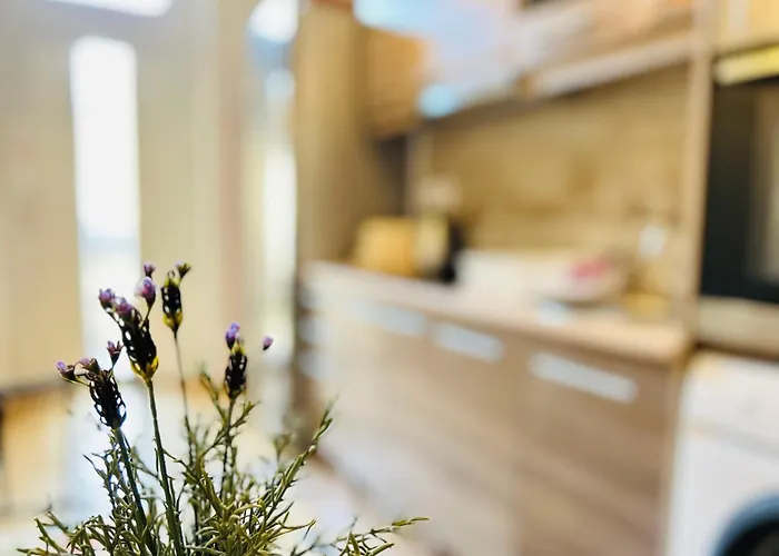 Rakoczi Boulevard 47 Apartament *