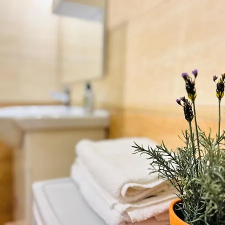 Rakoczi Boulevard 47 *